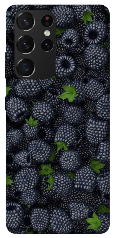 Чохол на Samsung Galaxy S21 Ultra Fresh фото 1 з 1