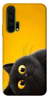 Чохол на Huawei Honor 20 Pro This is Cat фото 1 з 1