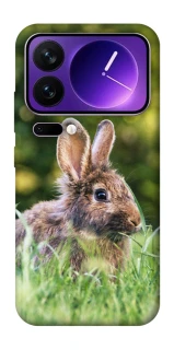 Чехол на Xiaomi 17 Pro Max Кролики фото 1 из 1