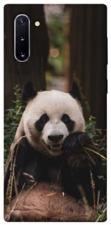 Чехол на Samsung Galaxy Note 10 Панда фото 1 из 1