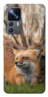 Чехол на Xiaomi 12T / 12T Pro Лиса фото 1 из 1