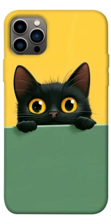 Чохол на Apple iPhone 12 Pro (6.1") Black cat v2 фото 1 з 1