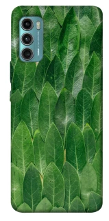 Чохол на Motorola Moto G60 Листя фото 1 з 1