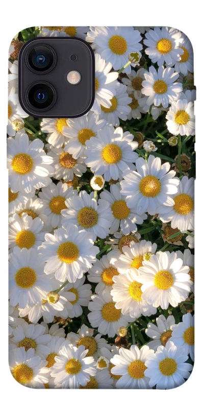 Чохол на Apple iPhone 12 mini (5.4") Поле ромашок фото 1 з 1