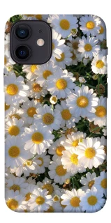 Чохол на Apple iPhone 12 mini (5.4") Поле ромашок фото 1 з 1