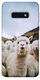 Чохол на Samsung Galaxy S10e Лама фото 1 з 1