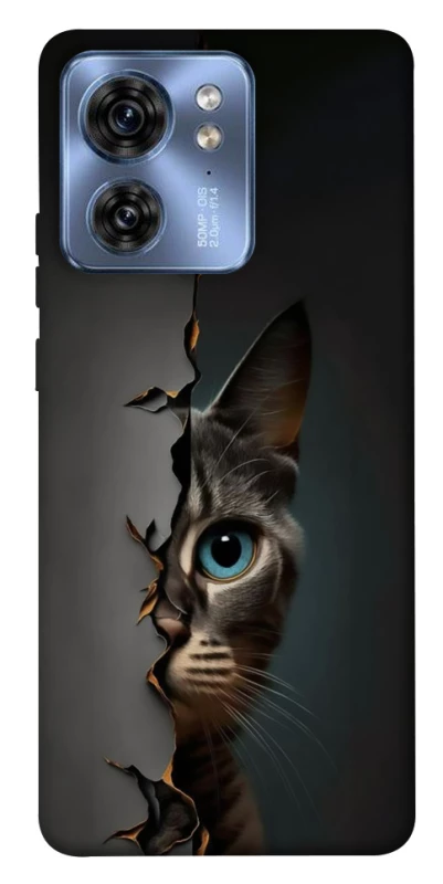 Чохол на Motorola Edge 40 Кіт-підглядач v2 фото 1 з 1