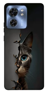 Чехол на Motorola Edge 40 Кот-подглядыватель v2 фото 1 из 1