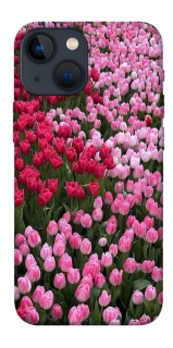 Чехол на Apple iPhone 13 mini (5.4") Flowers v9 фото 1 из 1