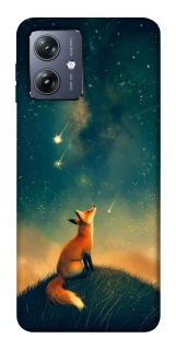 Чохол на Motorola Moto G54 Sky fox фото 1 Чохол на Motorola Moto G54 Sky fox фото 1 з 1