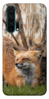Чехол на Huawei Honor 20 Pro Лиса фото 1 из 1