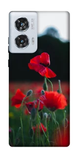 Чохол на Motorola Edge 50 Fusion Мак фото 1 з 1