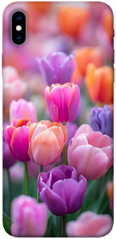 Чохол на Apple iPhone XS Max (6.5") Тюльпанове поле фото 1 з 1