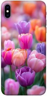 Чохол на Apple iPhone XS Max (6.5") Тюльпанове поле фото 1 з 1