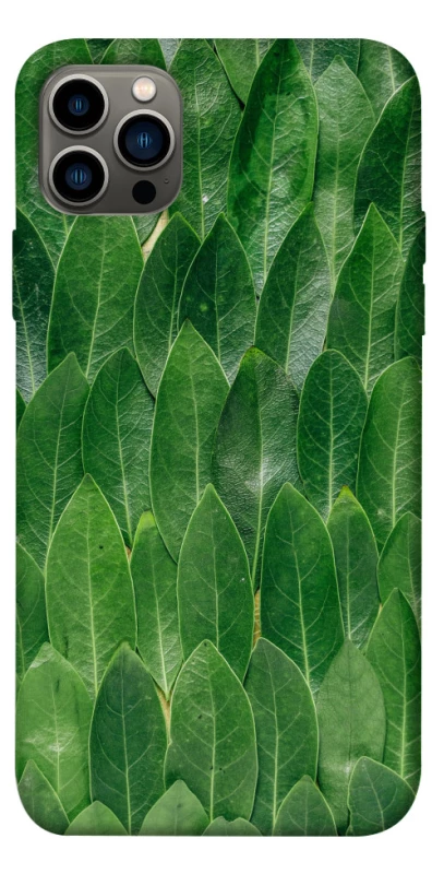 Чехол на Apple iPhone 12 Pro (6.1") Листья фото 1 из 1