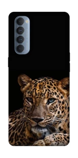 Чехол на Oppo Reno 4 Pro Leopard v4 фото 1 из 1