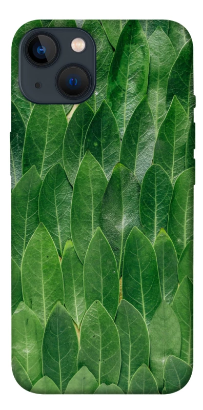 Чохол на Apple iPhone 13 (6.1") Листя фото 1 з 1