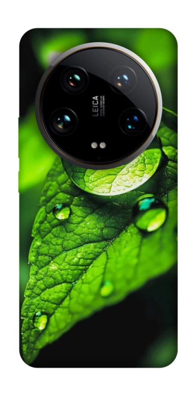 Чохол на Xiaomi 14 Ultra Flowers v16 фото 1 з 1