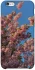 Чехол на Apple iPhone 6/6s plus (5.5") Flowers v4 фото 1 из 1