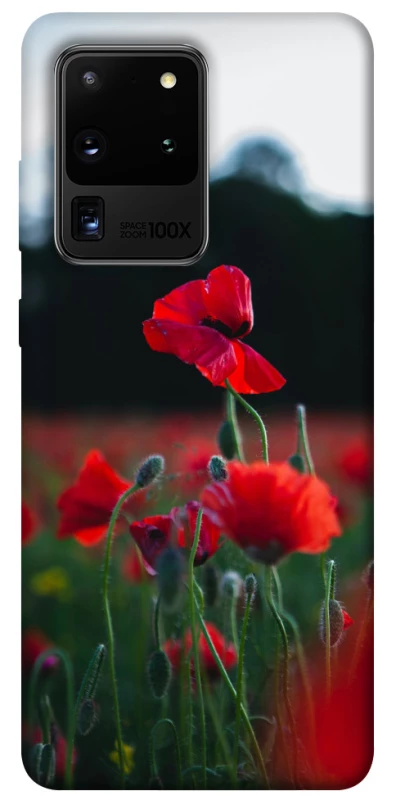 Чехол на Samsung Galaxy S20 Ultra Мак фото 1 из 1