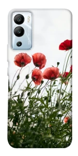 Чехол на Infinix Hot 12i Поле маков фото 1 из 1