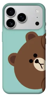 Чохол на Apple iPhone 18 Pro Max bear фото 1 з 2