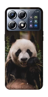 Чехол на Xiaomi POCO X8 Pro Панда фото 1 из 1