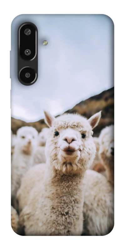 Чохол на Samsung Galaxy F16 Лама фото 1 з 1