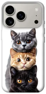 Чохол на Apple iPhone 18 Pro Гарні котики фото 1 з 2