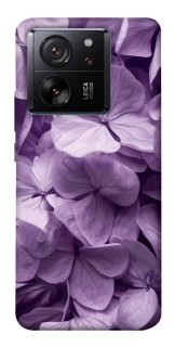 Чохол на Xiaomi 13T Floral Symphony фото 1 з 1