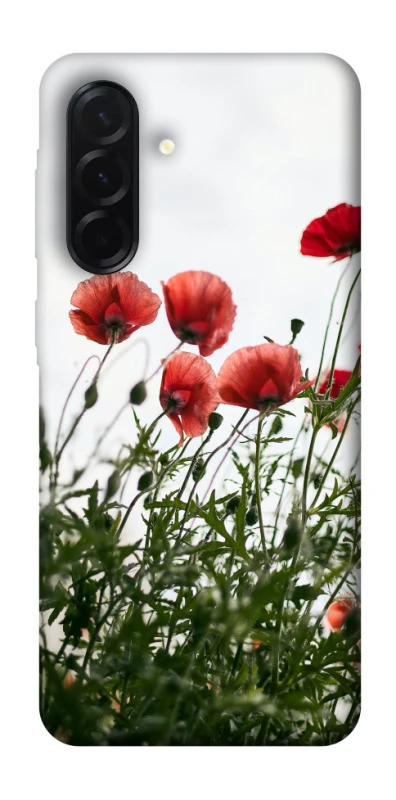Чохол на Samsung Galaxy A37 5G Поле маків фото 1 з 1