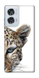 Чохол на Motorola Edge 50 Fusion Leopard Art v2 фото 1 з 1