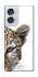 Чохол на Motorola Edge 50 Fusion Leopard Art v2 фото 1 з 1