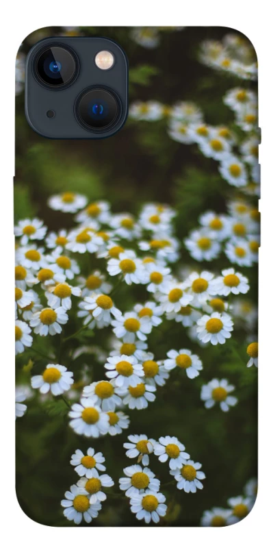 Чехол на Apple iPhone 13 (6.1") Ромашки v13 фото 1 из 1