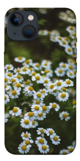 Чехол на Apple iPhone 13 (6.1") Ромашки v13 фото 1 из 1
