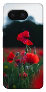 Чохол на Google Pixel 8 Мак фото 1 з 1