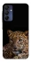Чохол на Samsung Galaxy A15 4G/5G Leopard v4 фото 1 з 1