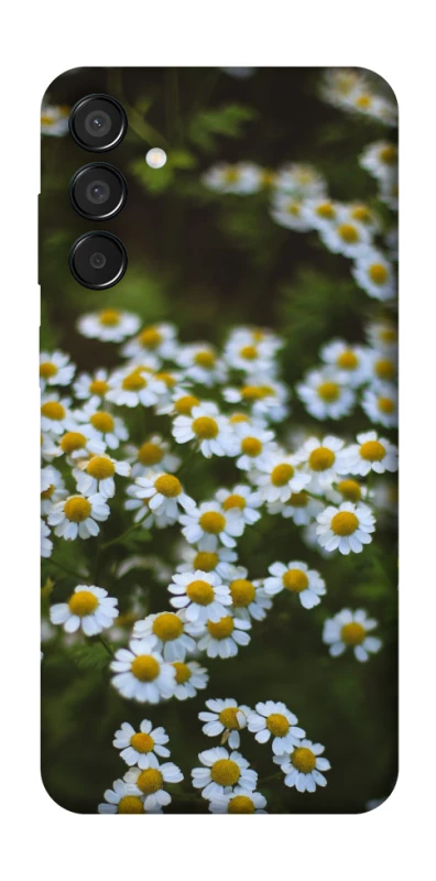 Чохол на Samsung Galaxy M15 5G Ромашки v13 фото 1 з 1