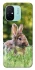 Чехол на Xiaomi Redmi 12C / Poco C55 Кролики фото 1 из 1