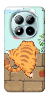 Чехол на Xiaomi Redmi Note 15 Pro+ 5G Cat the meow фото 1 Чехол на Xiaomi Redmi Note 15 Pro+ 5G Cat the meow фото 1 из 1