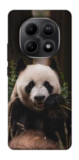 Чехол на Xiaomi Redmi Note 15 5G Панда фото 1 из 1