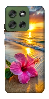 Чохол на Motorola Moto G56 5G Flowers v22 фото 1 з 1