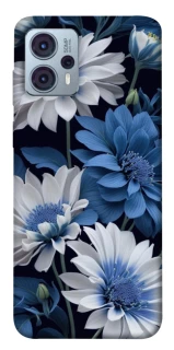 Чохол на Motorola Moto G23 Flowers v13 фото 1 Чохол на Motorola Moto G23 Flowers v13 фото 1 з 1