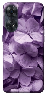 Чохол на Oppo Reno 8T 4G Floral Symphony фото 1 з 1