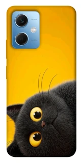 Чохол на Xiaomi Poco X5 5G This is Cat фото 1 з 1