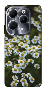 Чехол на Infinix Hot 40 Pro Ромашки v13 фото 1 из 1