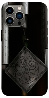 Чехол на Apple iPhone 13 Pro Max (6.7") Талисман удачи фото 1 из 1