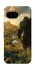 Чехол на Google Pixel 9a Orc фото 1 из 1