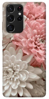 Чохол на Samsung Galaxy S21 Ultra Spring flow фото 1 з 1