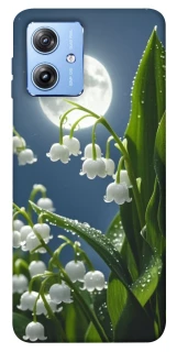 Чехол на Motorola Moto G84 Flowers v25 фото 1 из 1